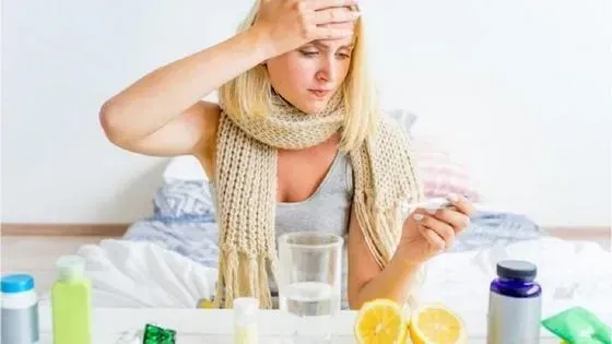 Gastro zen : përbërja vetëm përbërës natyralë.